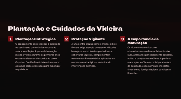 O Mundo do Vinho: Da Videira à Garrafa - Segredos, História e Técnicas dos Vinhos Premium