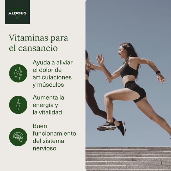 Citrato de magnésio de 1500 mg - 200 cápsulas, magnésio puro 450 mg + vitamina C, B6, B5 Dose diária, magnésio alta biodisponibilidade, vitaminas para o cansaço e fadiga Citrato de magnésio de 1500 mg - 200 cápsulas, magnésio puro 450 mg + vitamina C, B6, B5 Dose diária, magnésio alta biodisponibilidade, vitaminas para o cansaço e fadiga