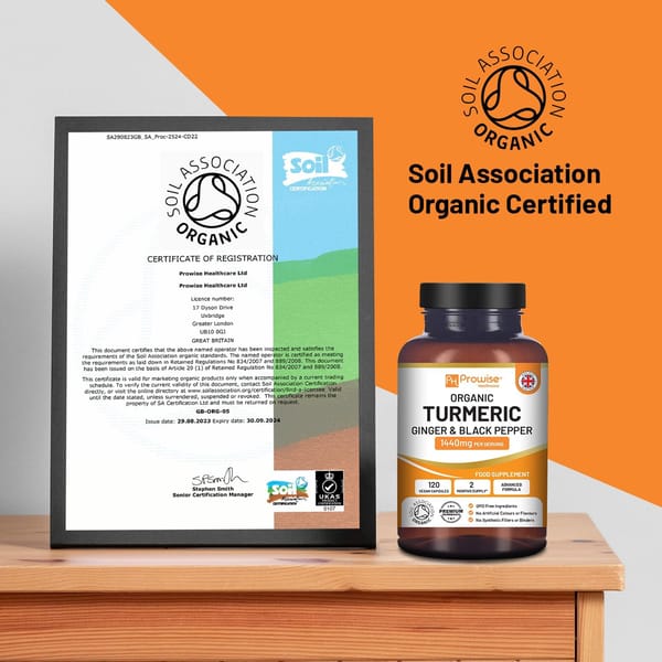 Cúrcuma Orgânica com Gengibre e Pimenta Preta - Cúrcuma curcumina 1440 mg com pimenta preta e gengibre I 120 cápsulas de açafrão veganas de alta resistência (fornecimento de 2 meses) I Fabricado no Reino Unido pela Prowise Healthcare
