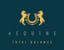 4Equine Equisk logo