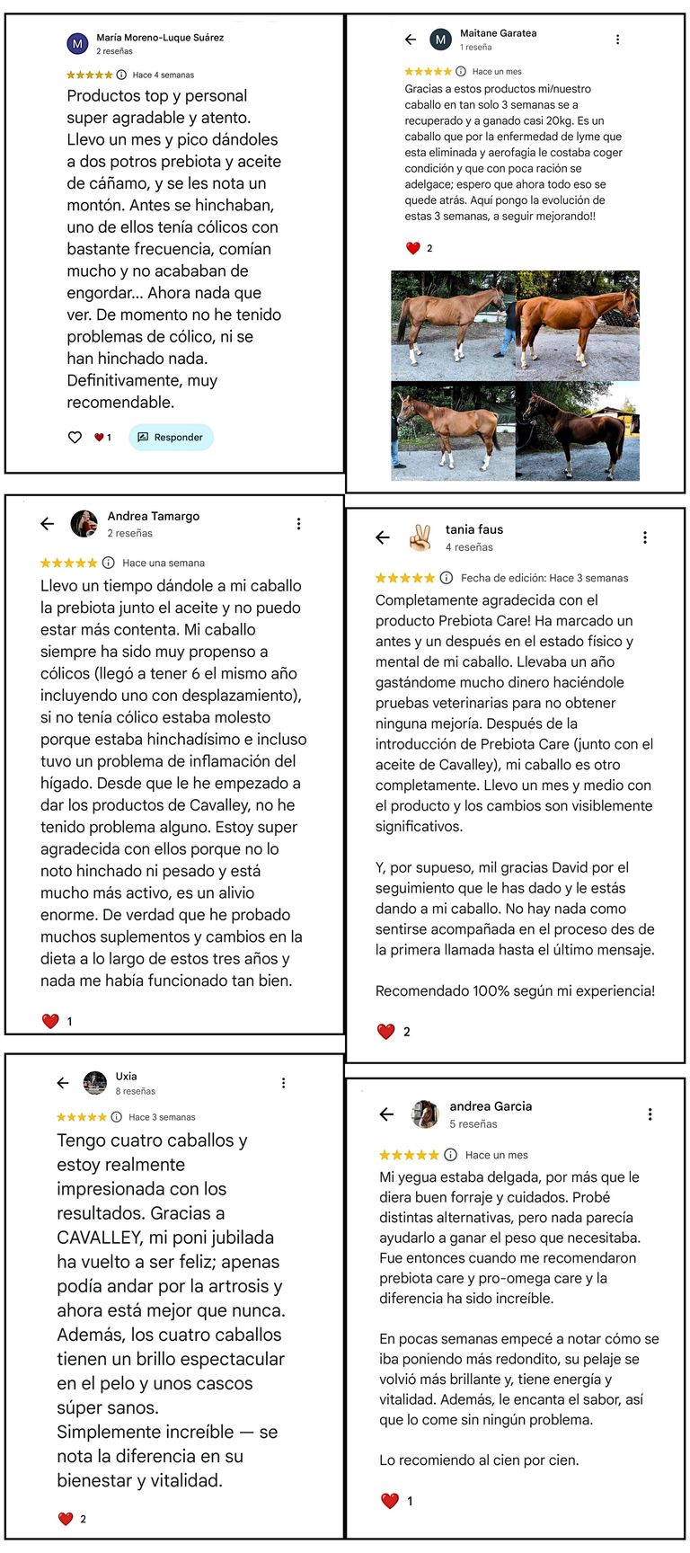 reseñas y opiniones de personas que han usado los productos de CAVALLEY , complementos alimenticios para caballos, la gente ha quedado muy contenta y han recuperado a muchos caballos