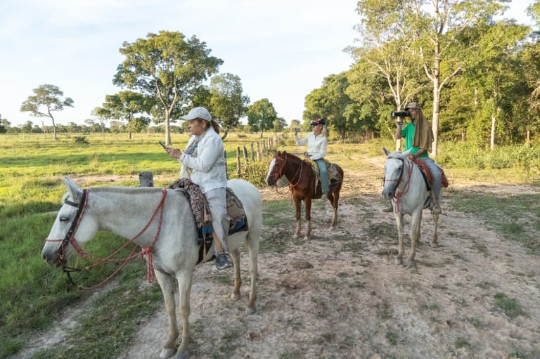 Three people back horse riding in pantanal Three people back horse riding in pantanal