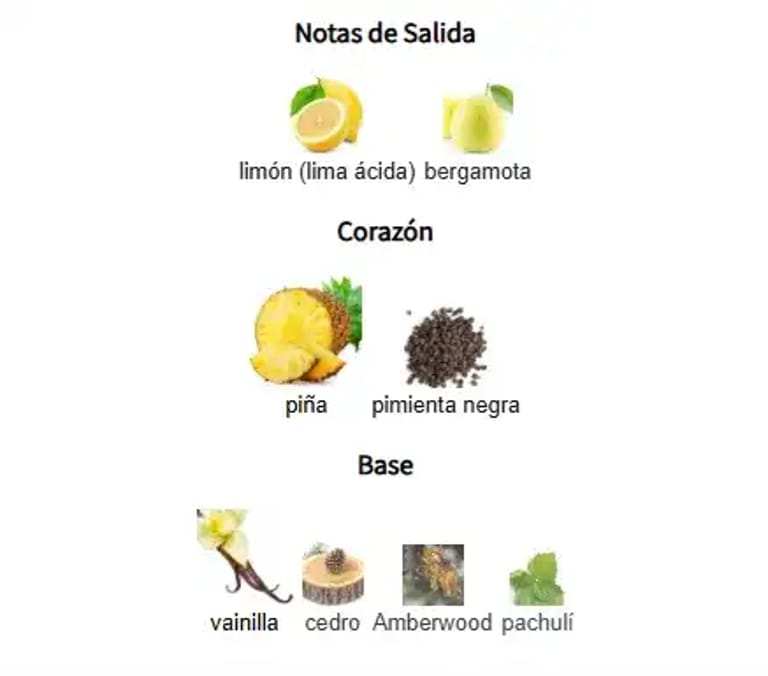 ISHQ AL SHUYUKH SILVER-notas-olfativas