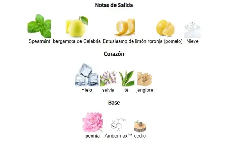 FREEZE-riiffs-notas-olfativas