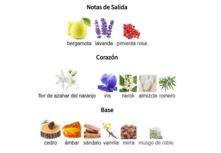 magnetiq-aromatix-notas-olfativas