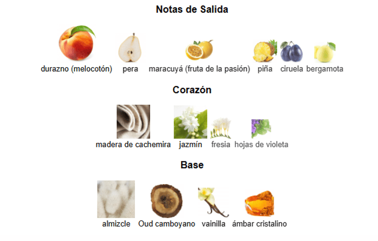 Club de Nuit Oud Armaf Club de Nuit Oud Armaf