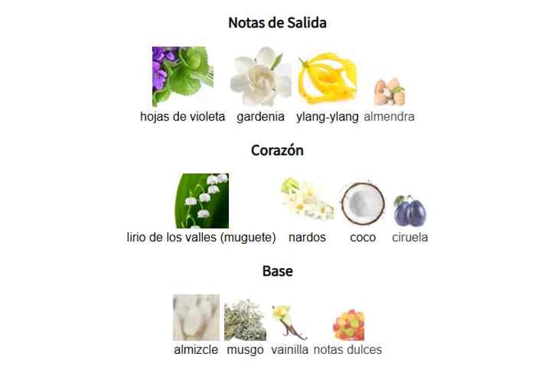 qissa-gala-paris-corner-notas-olfativas