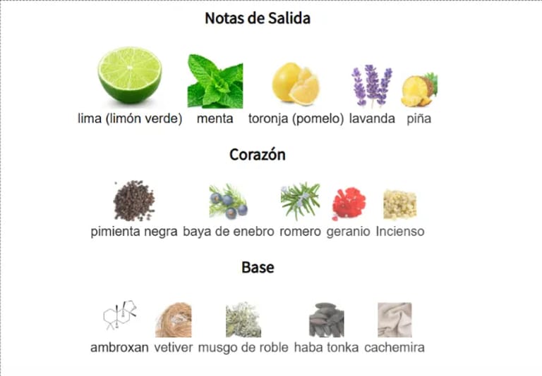 notas-olfativas-maahir-silver-lattafa-mysparfums notas-olfativas-maahir-silver-lattafa-mysparfums