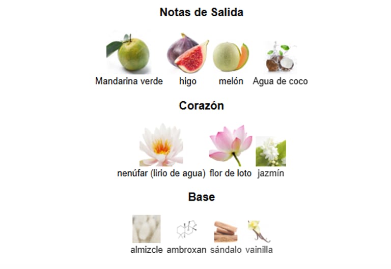 Mayar Natural Intense Lattafa Perfumes