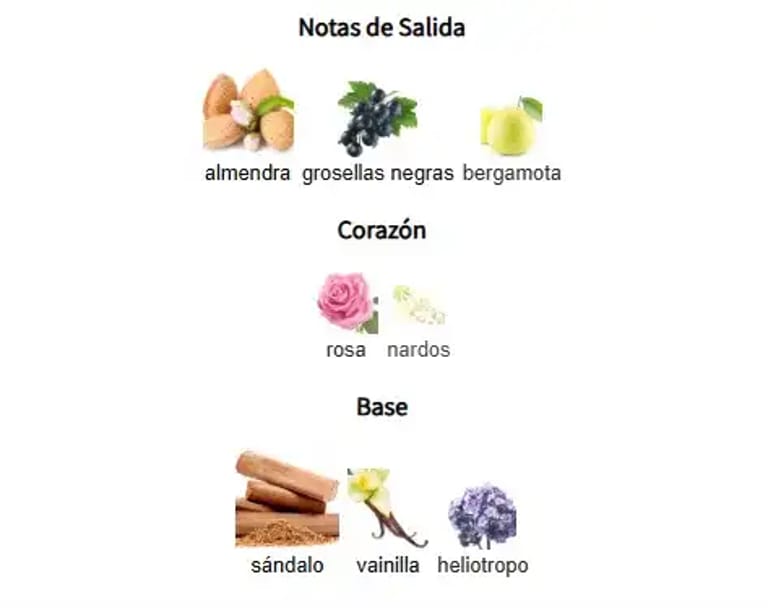 PEACE & LOVE-notas-olfativas