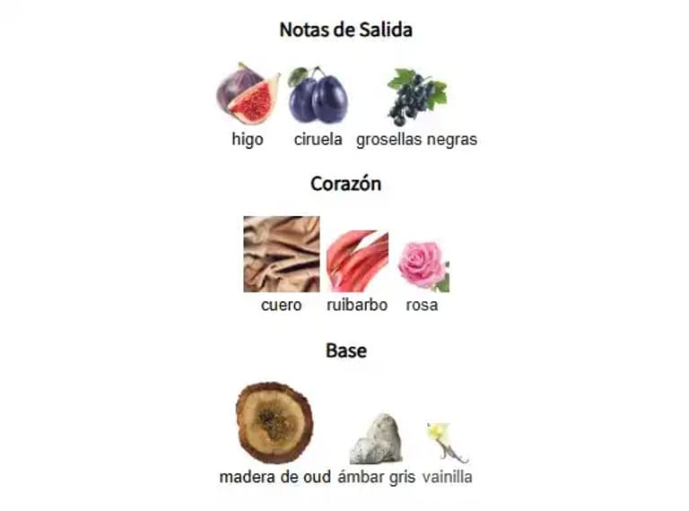 SET ART OF NATURE I-notas-olfativas