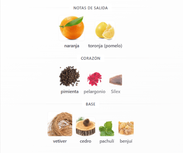 terre-hermes-notas-olfativas