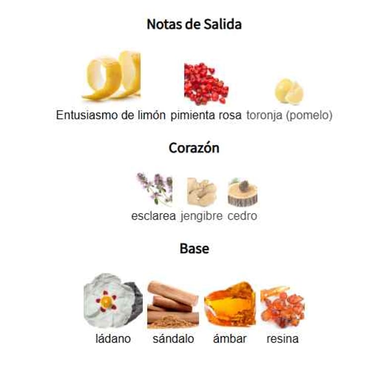 seasons-drif-notas-olfativas