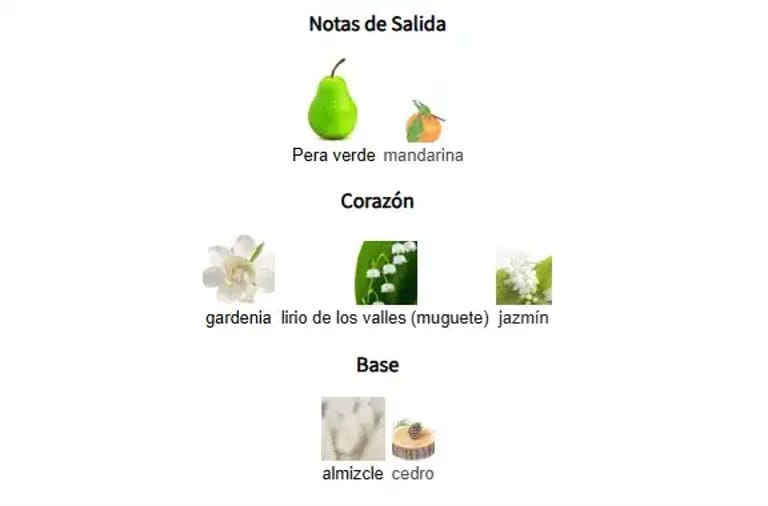 LAYAAN-lattafa-notas-olfativas LAYAAN-lattafa-notas-olfativas