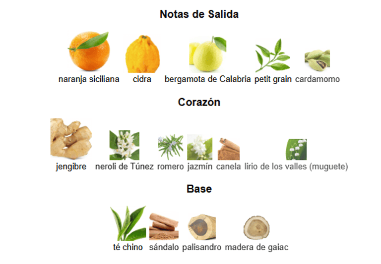 ventana-marine-notas-olfativas ventana-marine-notas-olfativas