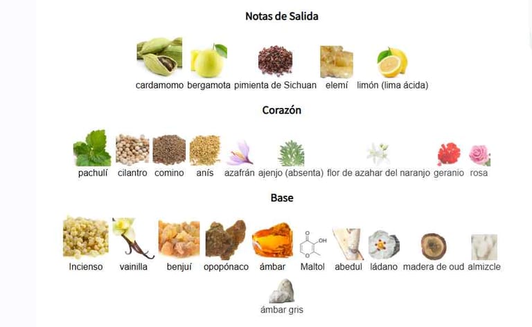 terra-rayhaan-notas-olfativas