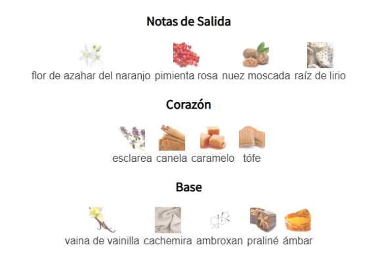 seasons-rise-notas-olfativas