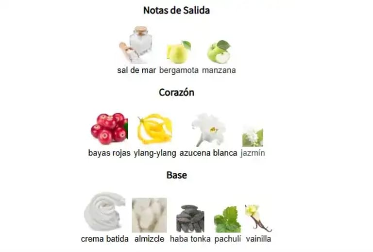 CLUB DE NUIT PRECIEUX IV-notas-olfativas