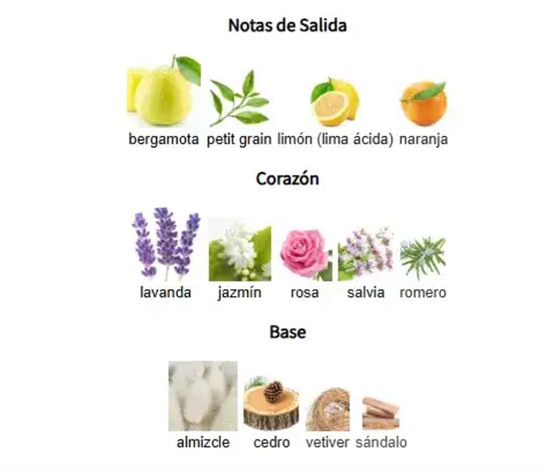 BEAU ACUTE-notas-olfativas