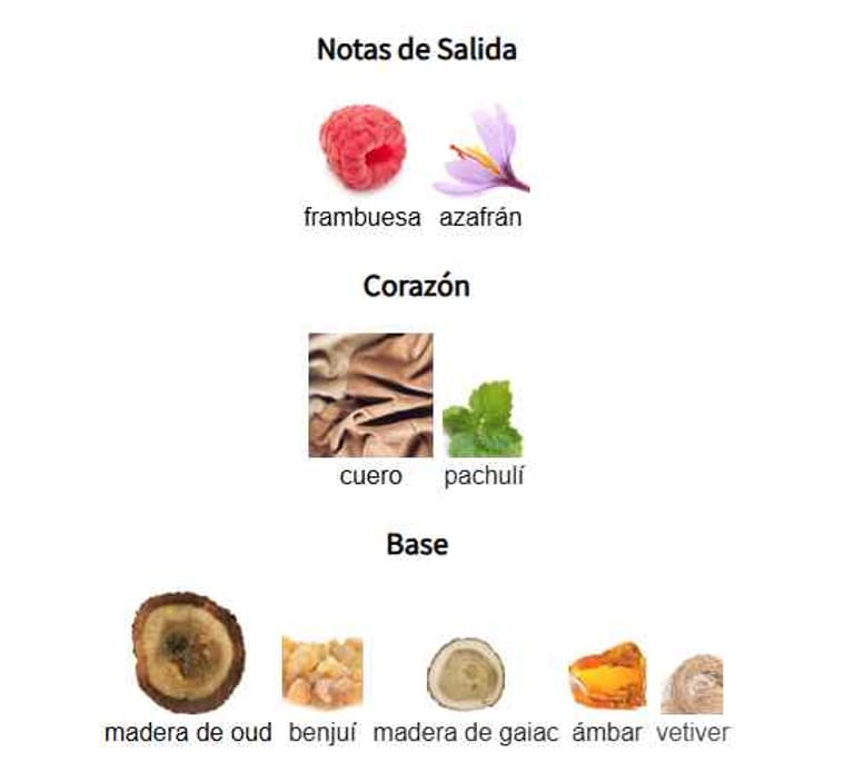 al-quiam-gold-notas-olfativas