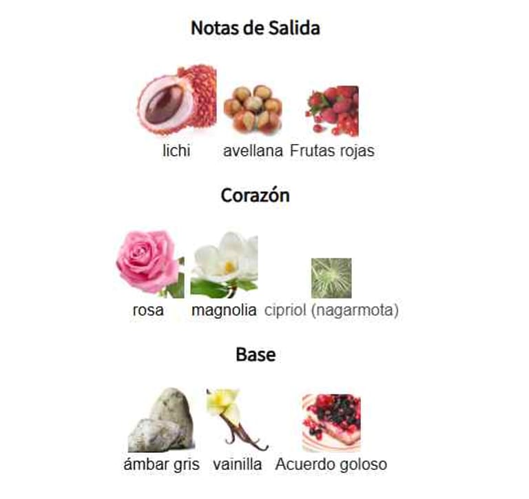 SAFA-ARABIYAT-PRESTIGE-NOTAS-OLFATIVAS-MYSPARFUMS