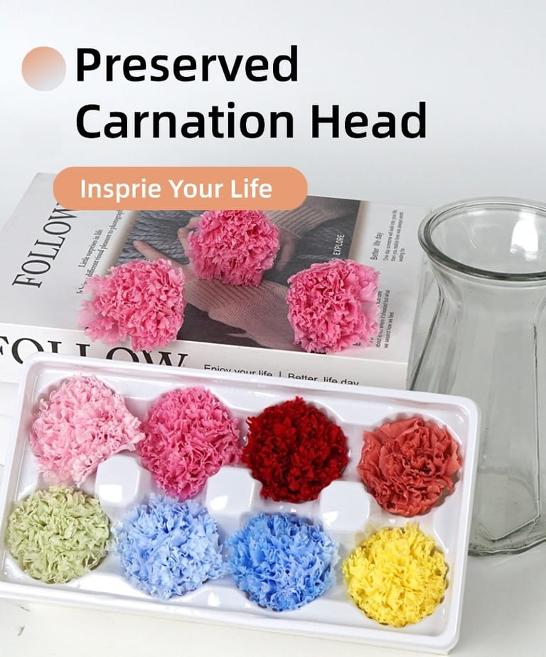 preserved carnation head
