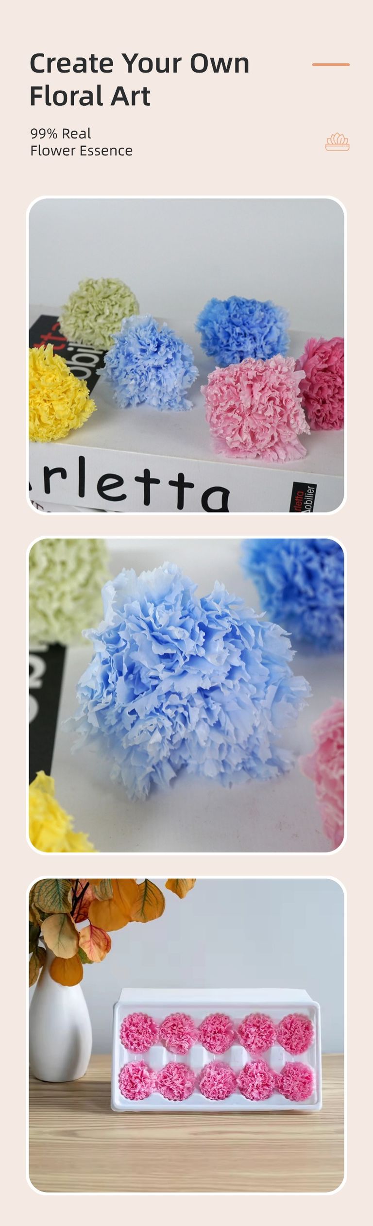 preserved carnation head