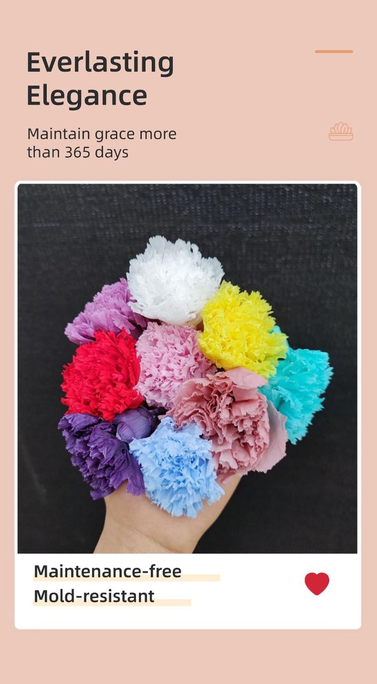 preserved carnation head