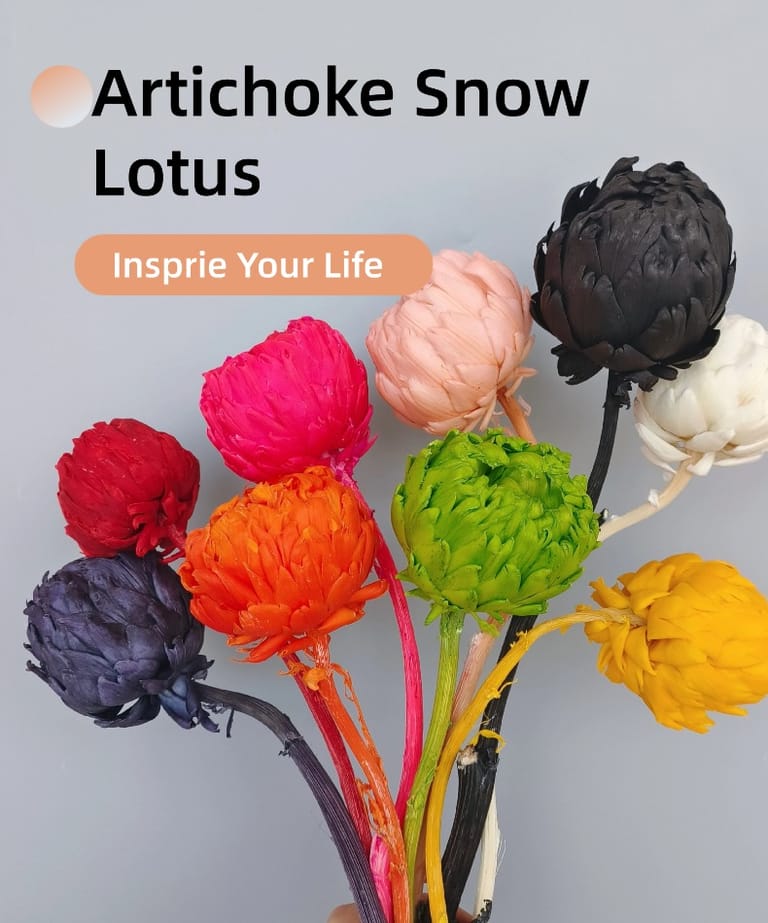 Preserved Artichoke Snow Lotus