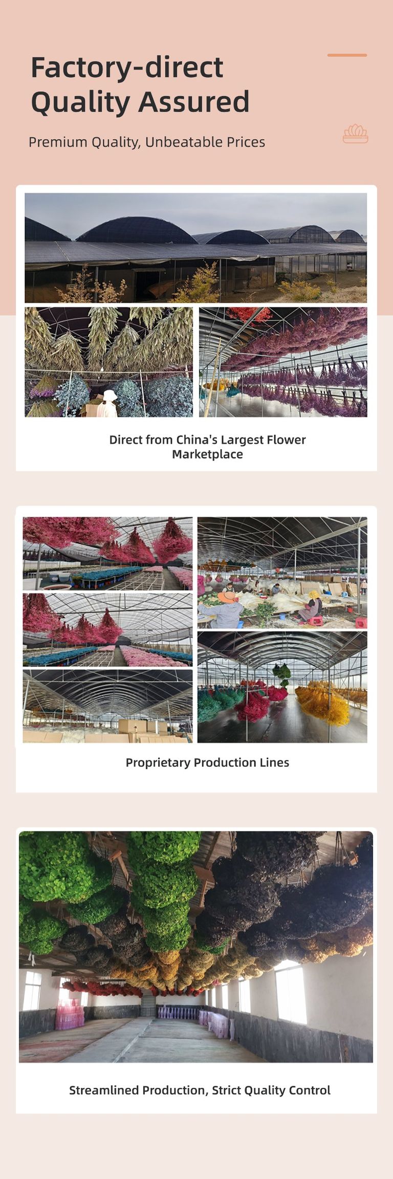 preserved flower factory