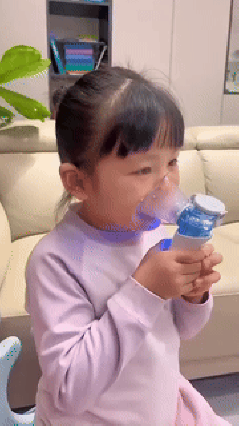 Portable Mesh Nebulizer
