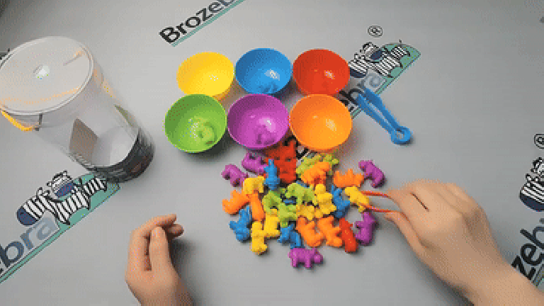 Color Counting and Sorting Set Color Counting and Sorting Set
