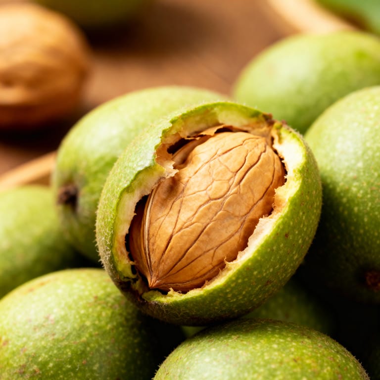 swat valley walnuts swat valley walnuts