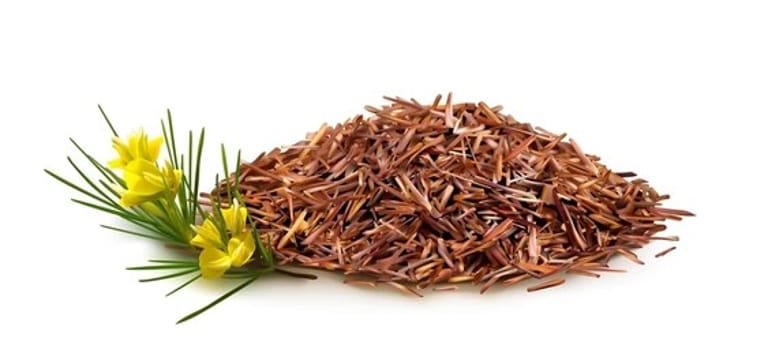 Bio Rotbusch-Zweigen (Rooisbos)