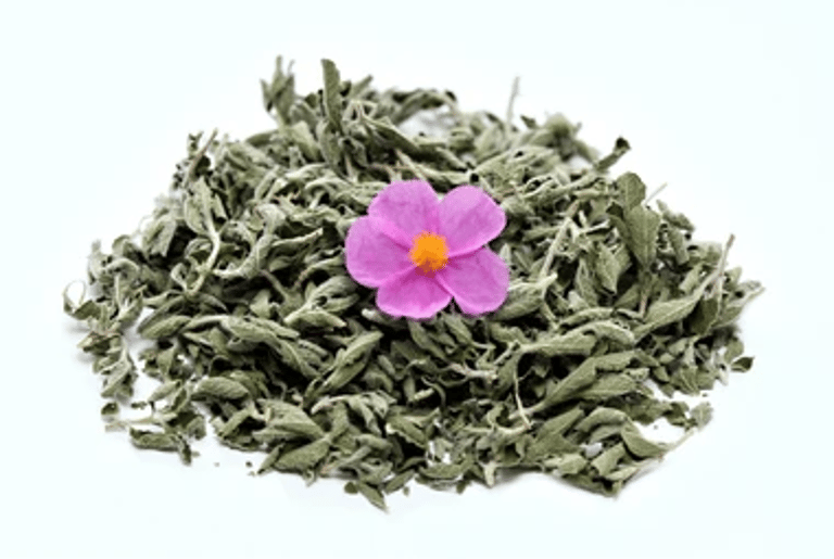 Cistus incanus Kraut