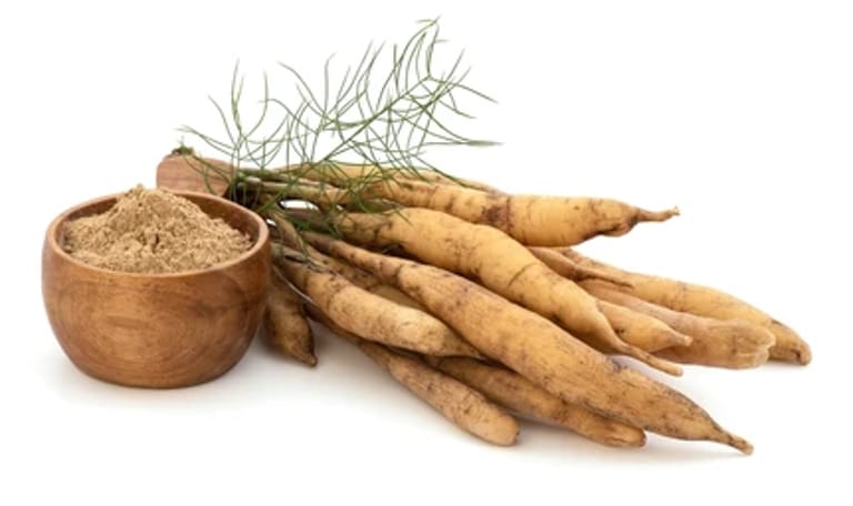 Shathavariya (Asparagus recemosus)