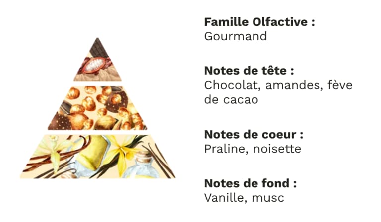 PYRAMIDE OLFACTIVE - Rocher praliné PYRAMIDE OLFACTIVE - Rocher praliné