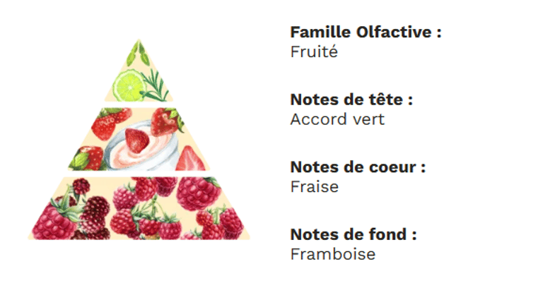 PYRAMIDE OLFACTIVE - yaourt fraise PYRAMIDE OLFACTIVE - yaourt fraise