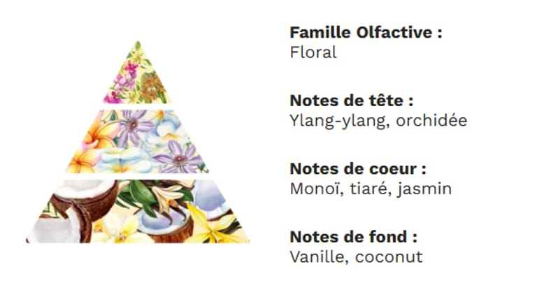 PYRAMIDE OLFACTIVE - Monoï des îles PYRAMIDE OLFACTIVE - Monoï des îles