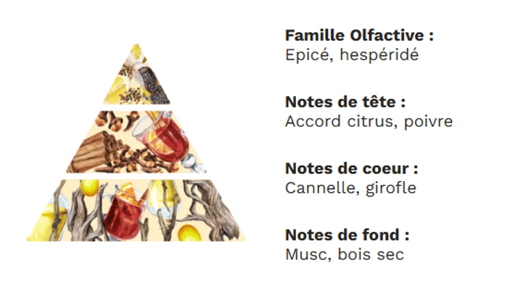 PYRAMIDE OLFACTIVE - VIN CHAUD PYRAMIDE OLFACTIVE - VIN CHAUD