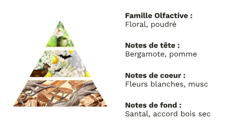 PYRAMIDE OLFACTIVE - ECLIPSE DE LUNE