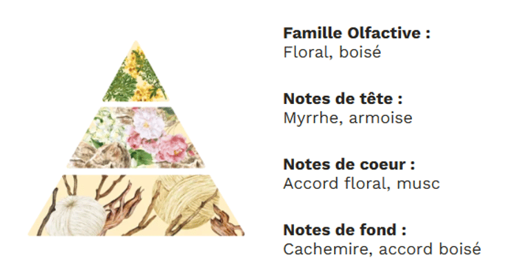 PYRAMIDE OLFACTIVE - Cachemire et soie PYRAMIDE OLFACTIVE - Cachemire et soie