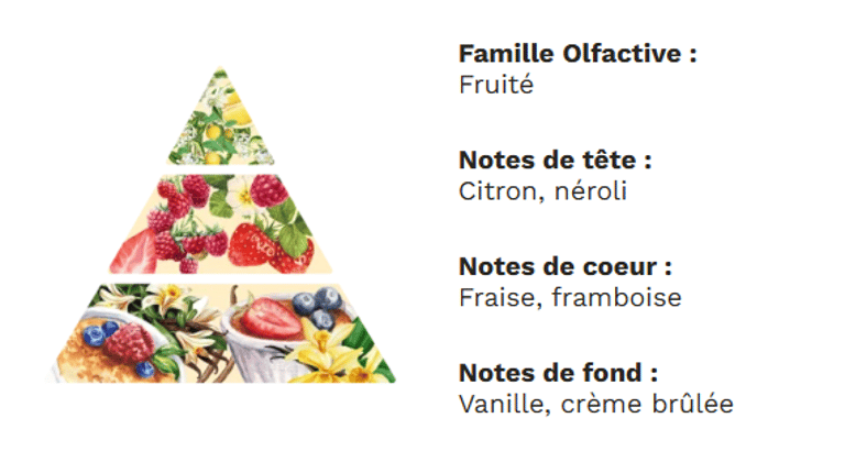 PYRAMIDE OLFACTIVE - Fruits Rouges PYRAMIDE OLFACTIVE - Fruits Rouges