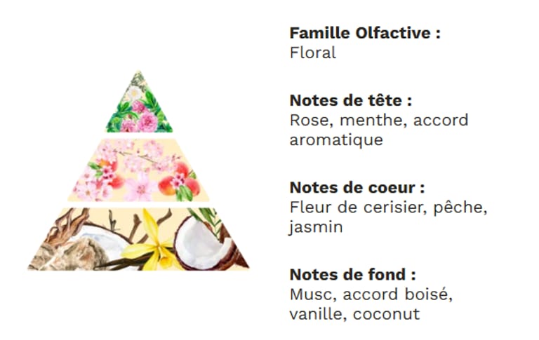 PYRAMIDE OLFACTIVE - Fleur de cerisier