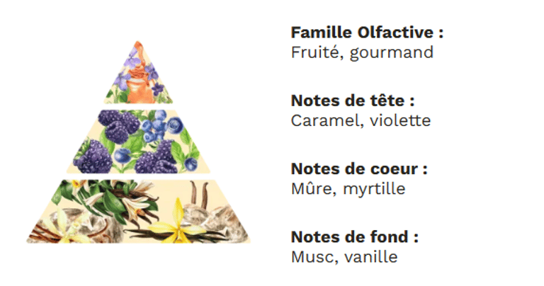 PYRAMIDE OLFACTIVE - Mûre myrtille PYRAMIDE OLFACTIVE - Mûre myrtille