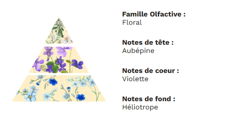 PYRAMIDE OLFACTIVE - Violette PYRAMIDE OLFACTIVE - Violette