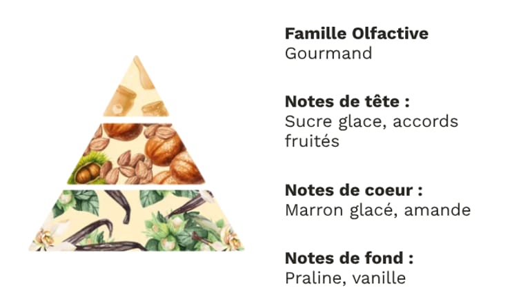 PYRAMIDE OLFACTIVE - Marrons glacés PYRAMIDE OLFACTIVE - Marrons glacés