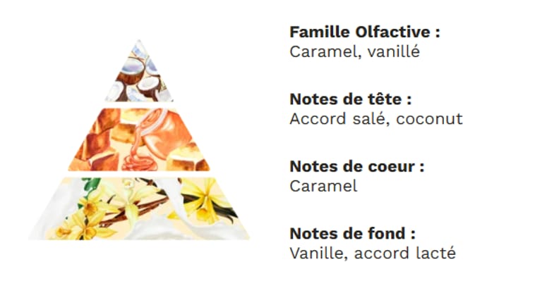 PYRAMIDE OLFACTIVE - Caramel beurre salé PYRAMIDE OLFACTIVE - Caramel beurre salé