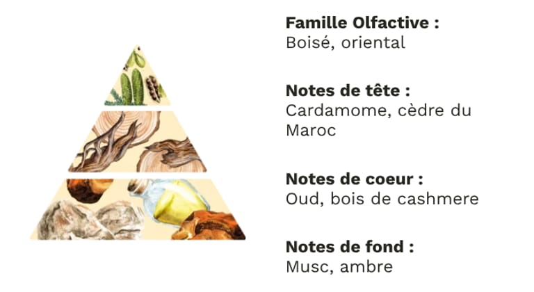 PYRAMIDE OLFACTIVE - BOIS DE OUD