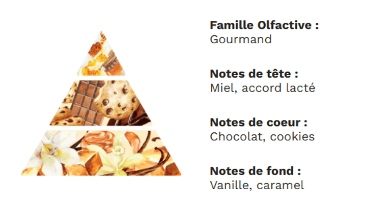 PYRAMIDE OLFACTIVE - Cookie chocolat PYRAMIDE OLFACTIVE - Cookie chocolat